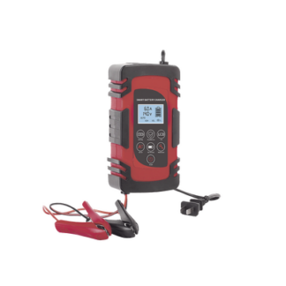 Cargador de Baterías / 12 o 24 Vcc / hasta 40 Ah / 4, 6 o 8 A / Display LCD