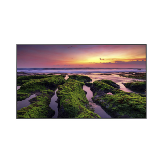 Pantalla Profesional LED de 55", UHD 4K (3840x2160p), Entradas de Video HDMI, Bocinas Integradas de 10 W. Compatible VESA