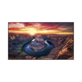 Pantalla Profesional LED de 65", UHD 4K (3840x2160p), Entradas de Video HDMI/DisplayPort, Bocinas Integradas de 10 W. Compatible VESA. Modo de Simulación DICOM